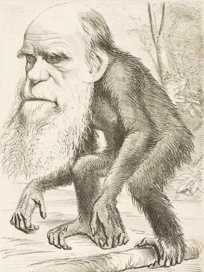 رسم كاريكاتيري ساخر لشارل داروين عقب وضعه لنظرية التطور